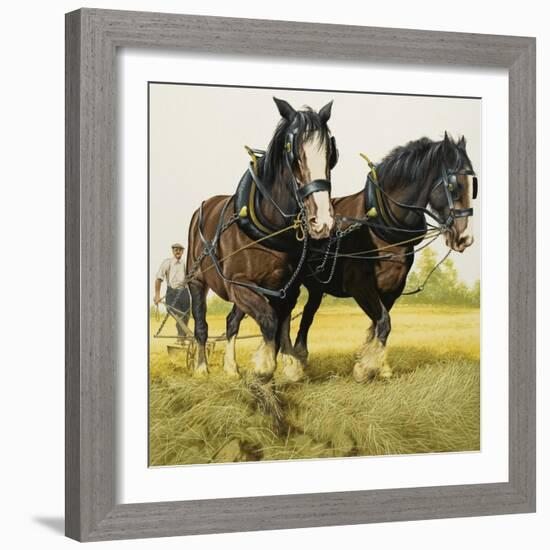 Farm Horses-David Nockels-Framed Giclee Print