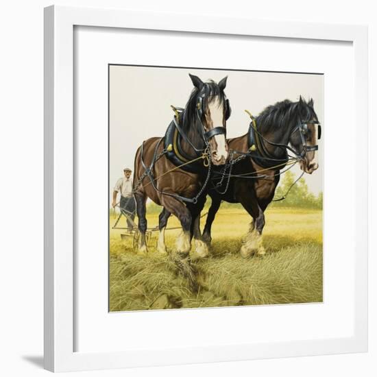 Farm Horses-David Nockels-Framed Giclee Print