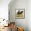 Farm Horses-David Nockels-Framed Giclee Print displayed on a wall
