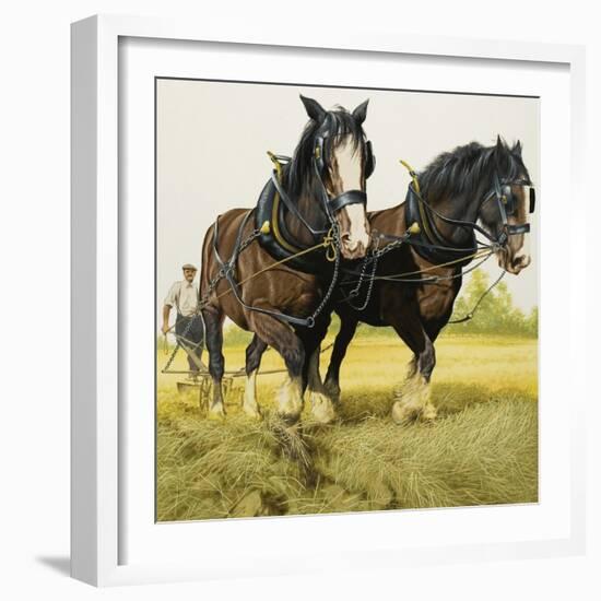 Farm Horses-David Nockels-Framed Giclee Print