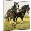 Farm Horses-David Nockels-Mounted Giclee Print