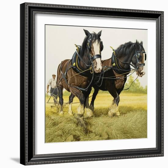 Farm Horses-David Nockels-Framed Giclee Print