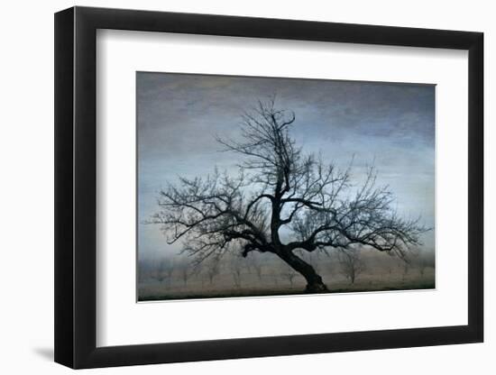 Farm House Tree-David Winston-Framed Giclee Print