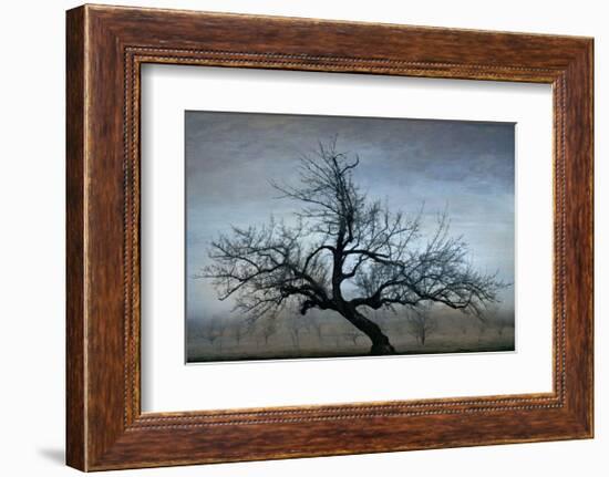 Farm House Tree-David Winston-Framed Giclee Print