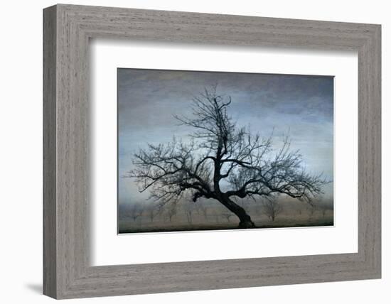 Farm House Tree-David Winston-Framed Giclee Print