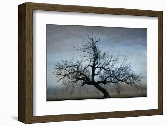 Farm House Tree-David Winston-Framed Giclee Print