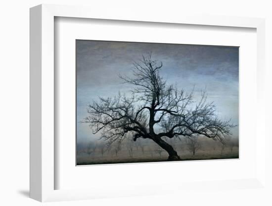 Farm House Tree-David Winston-Framed Giclee Print