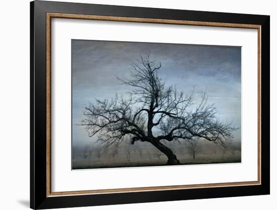 Farm House Tree-David Winston-Framed Giclee Print