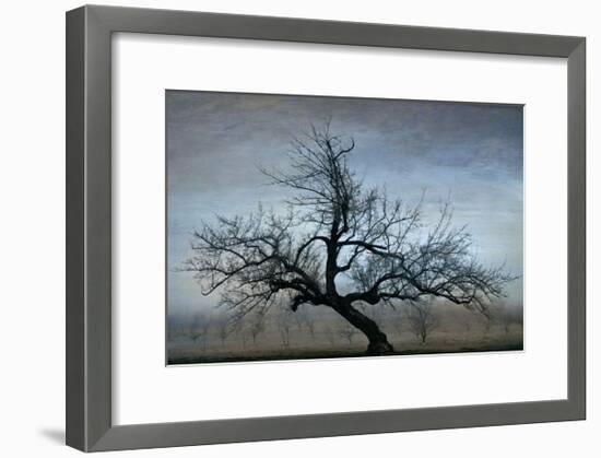 Farm House Tree-David Winston-Framed Giclee Print