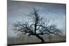 Farm House Tree-David Winston-Mounted Giclee Print