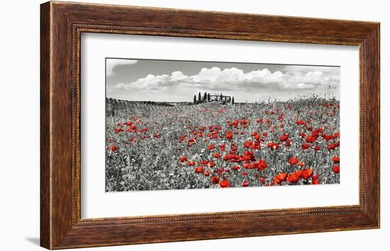 Farm house with cypresses and poppies, Tuscany, Italy-Frank Krahmer-Framed Art Print