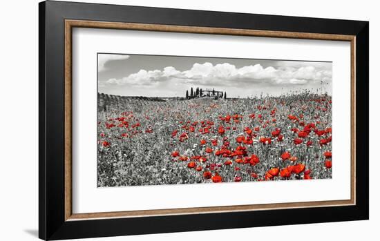 Farm house with cypresses and poppies, Tuscany, Italy-Frank Krahmer-Framed Art Print