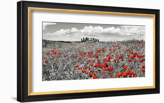 Farm house with cypresses and poppies, Tuscany, Italy-Frank Krahmer-Framed Art Print