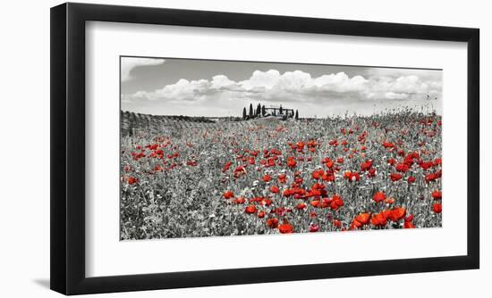 Farm house with cypresses and poppies, Tuscany, Italy-Frank Krahmer-Framed Art Print