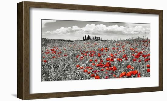 Farm house with cypresses and poppies, Tuscany, Italy-Frank Krahmer-Framed Art Print