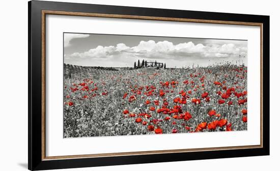 Farm house with cypresses and poppies, Tuscany, Italy-Frank Krahmer-Framed Art Print