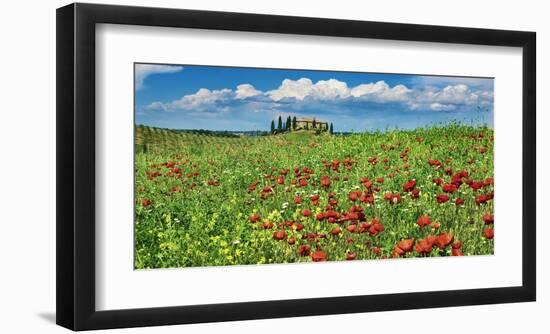 Farm house with cypresses and poppies, Tuscany, Italy-Frank Krahmer-Framed Art Print