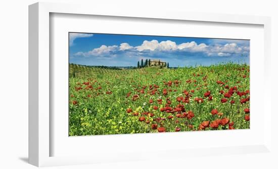 Farm house with cypresses and poppies, Tuscany, Italy-Frank Krahmer-Framed Art Print