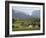 Farm Houses and Mountains, Vinales Valley, Cuba, West Indies, Caribbean, Central America-Christian Kober-Framed Photographic Print