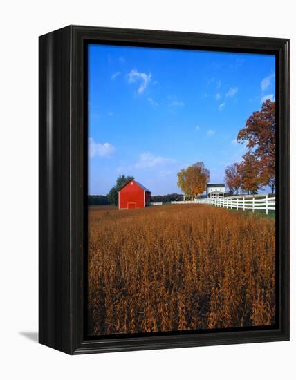 Farm in Autumn-Bruce Burkhardt-Framed Premier Image Canvas