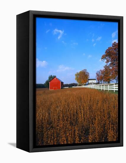 Farm in Autumn-Bruce Burkhardt-Framed Premier Image Canvas