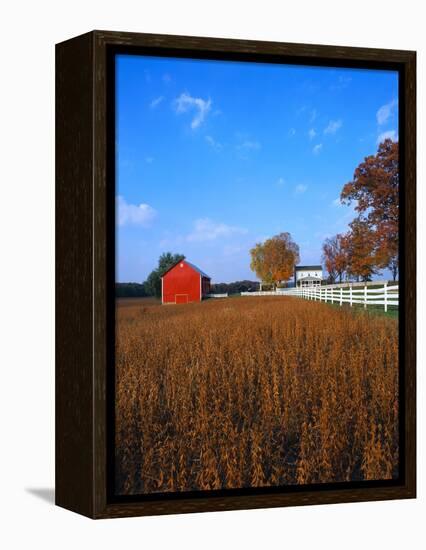 Farm in Autumn-Bruce Burkhardt-Framed Premier Image Canvas