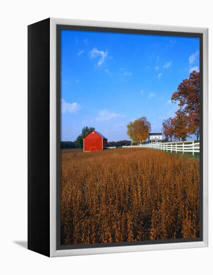 Farm in Autumn-Bruce Burkhardt-Framed Premier Image Canvas