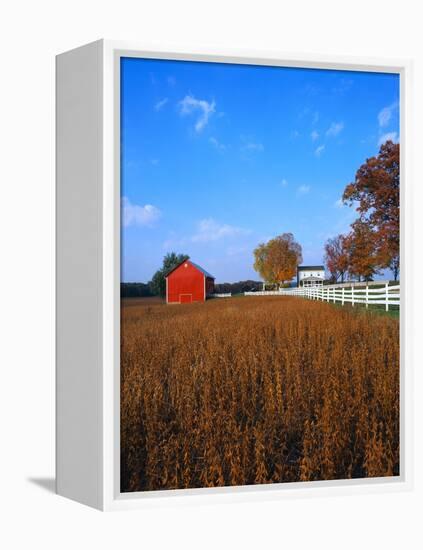 Farm in Autumn-Bruce Burkhardt-Framed Premier Image Canvas