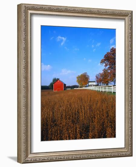 Farm in Autumn-Bruce Burkhardt-Framed Photographic Print