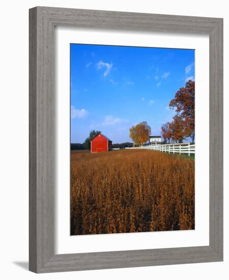 Farm in Autumn-Bruce Burkhardt-Framed Photographic Print