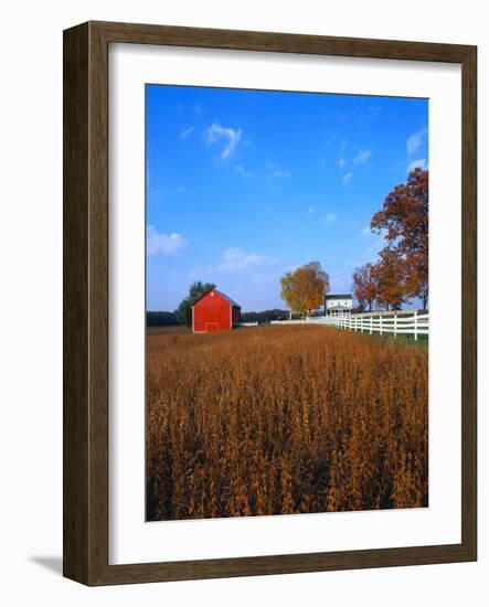Farm in Autumn-Bruce Burkhardt-Framed Photographic Print