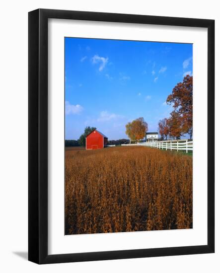 Farm in Autumn-Bruce Burkhardt-Framed Photographic Print