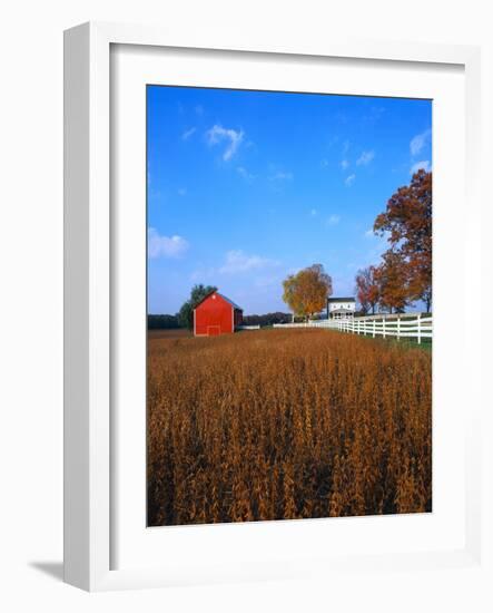 Farm in Autumn-Bruce Burkhardt-Framed Photographic Print