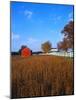 Farm in Autumn-Bruce Burkhardt-Mounted Photographic Print