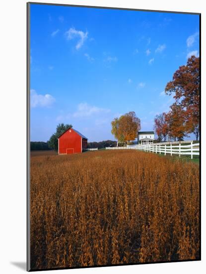 Farm in Autumn-Bruce Burkhardt-Mounted Photographic Print