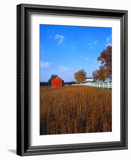 Farm in Autumn-Bruce Burkhardt-Framed Photographic Print