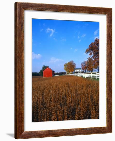 Farm in Autumn-Bruce Burkhardt-Framed Photographic Print