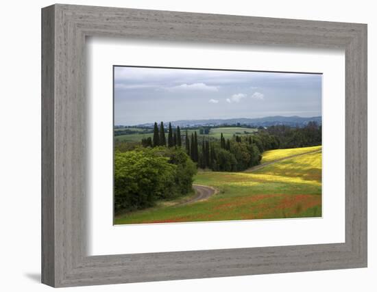 Farm in Italy-Nancy Crowell-Framed Photographic Print