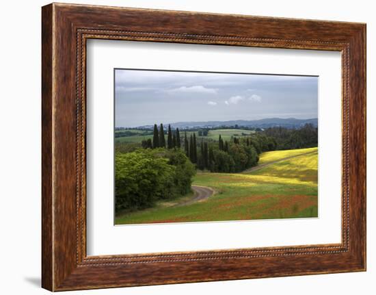 Farm in Italy-Nancy Crowell-Framed Photographic Print