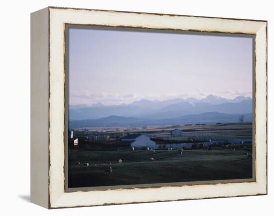 Farm in Mountain Valley - Rockies, Calgary, Banff-null-Framed Premier Image Canvas