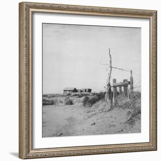 Farm Land in Drought-Stricken Area, Barren Land-null-Framed Photographic Print