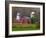 Farm Landscape in Fall Color, Arlington, Vermont, USA-Joe Restuccia III-Framed Photographic Print