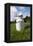 Farm, Meadow, Milk Churn-Catharina Lux-Framed Premier Image Canvas
