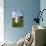 Farm, Meadow, Milk Churn-Catharina Lux-Photographic Print displayed on a wall