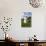 Farm, Meadow, Milk Churn-Catharina Lux-Photographic Print displayed on a wall