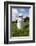 Farm, Meadow, Milk Churn-Catharina Lux-Framed Photographic Print