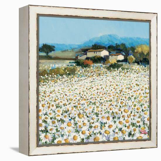 Farm Near Bini-Hazel Barker-Framed Stretched Canvas