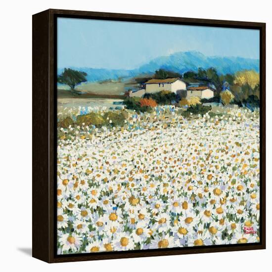 Farm Near Bini-Hazel Barker-Framed Stretched Canvas