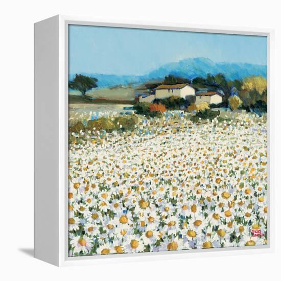 Farm Near Bini-Hazel Barker-Framed Stretched Canvas