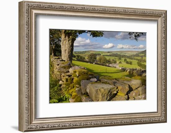 Farm Near Burnsall, Yorkshire Dales National Park, Yorkshire, England, United Kingdom, Europe-Miles Ertman-Framed Photographic Print